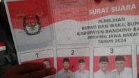 Surat suara