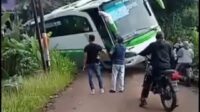 Bus pariwisata