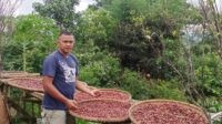 Kopi