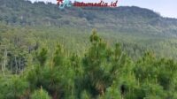 Sesar Lembang
