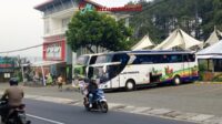 Bus piwisata