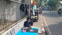 Bendera
