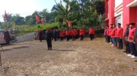 PDIP
