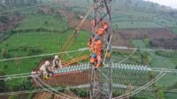 PLN