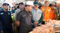 Daging ayam