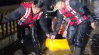 Banjir