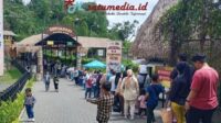 Wisata