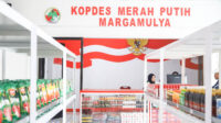 KDMP
