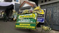 TNI