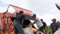 Sampah
