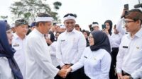 PNS