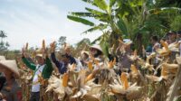 Jagung
