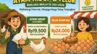 Ayam