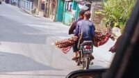 Pemotor bawa jenazah
