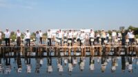 Mangrove