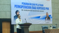 Koperasi