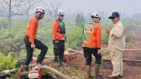 Kebakaran hutan