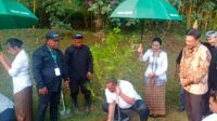 Dusun Bambu