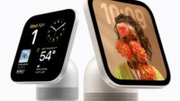Apple HomeView
